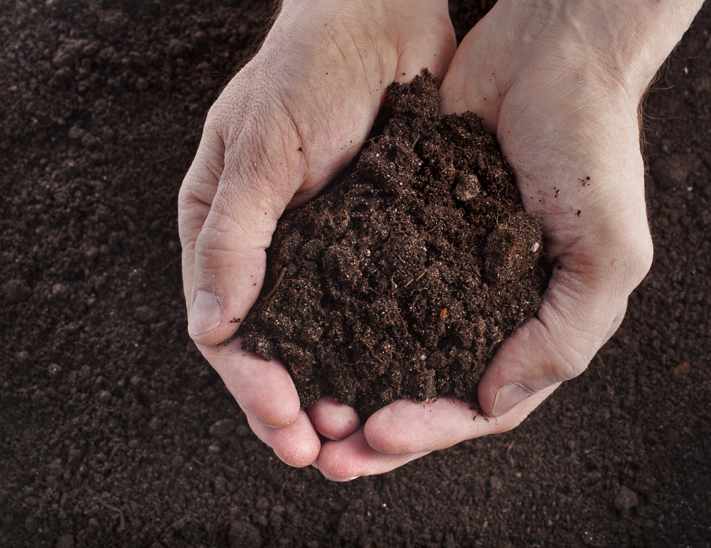 When Should You Choose Garden Soil Over Potting Soil The Dirt Bag