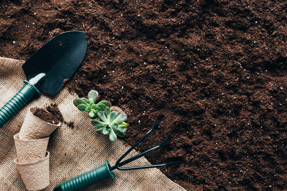 Garden Soil Tricks to Improve Your Flowers & Plants
