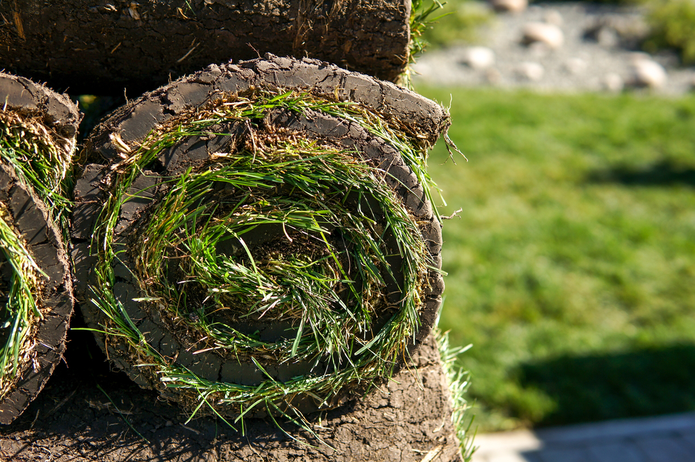 How to plan for your Utah sod delivery