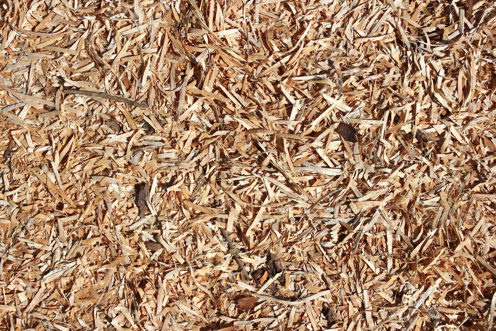 How to care for playground wood chips