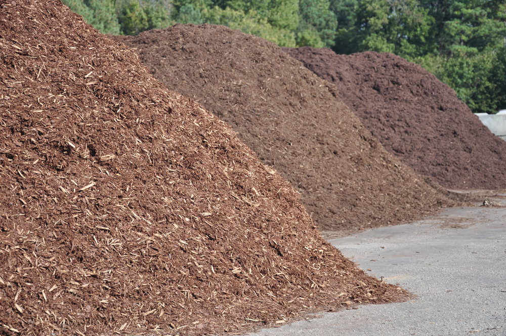 Types of mulch: pros and cons