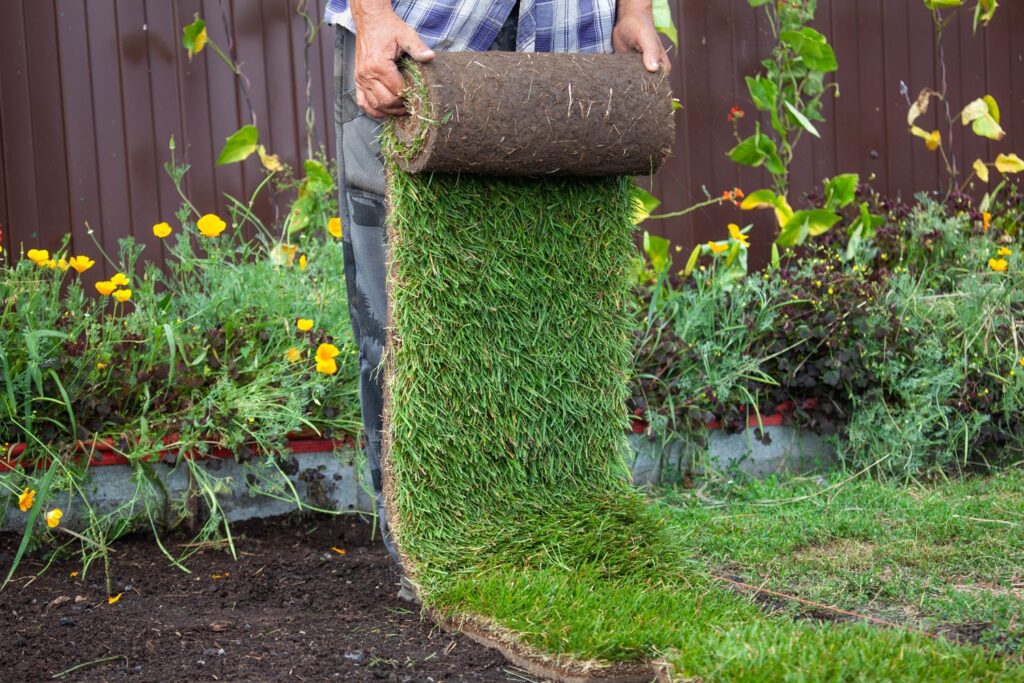 The Benefits of Sod for Your Yard or Garden