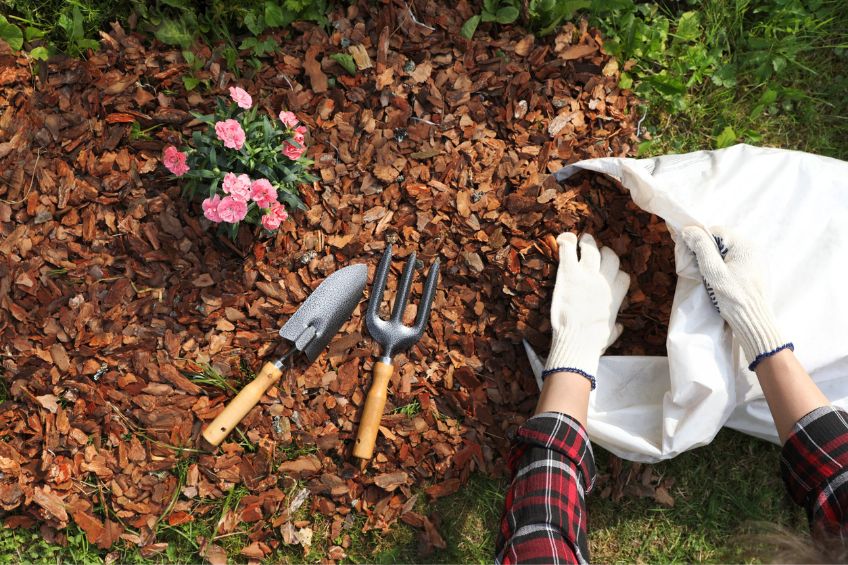 Benefits of Mulch in the Garden by The Dirt Bag