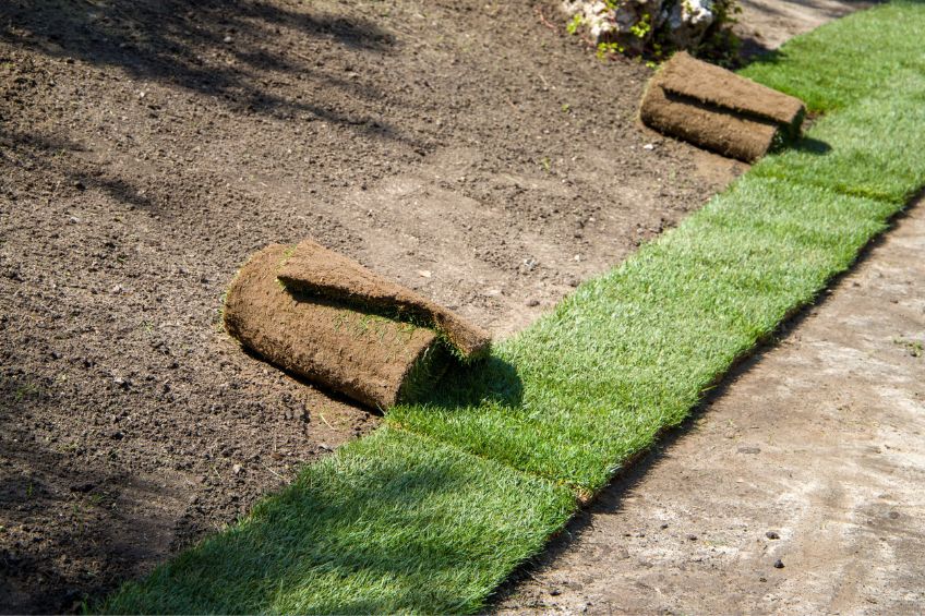 Installation Tips for Utah Sod by The Dirt Bag