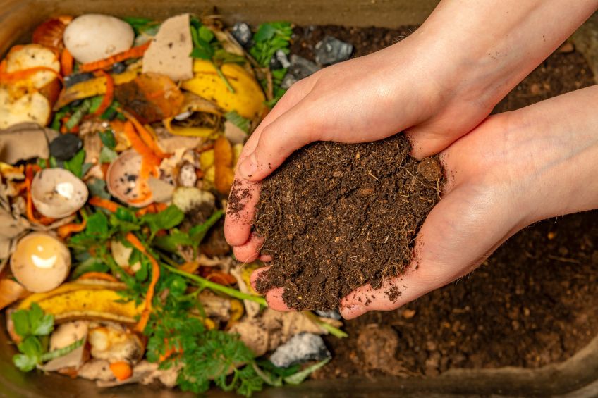 Buying Compost A Beginner Gardeners Guide to Getting It Right