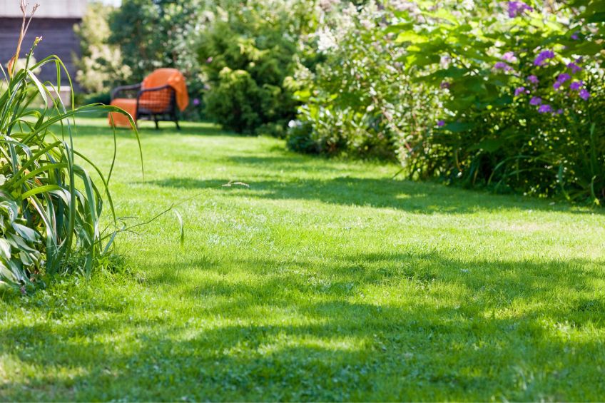 Fertilizer Safety for Your Utah Lawn