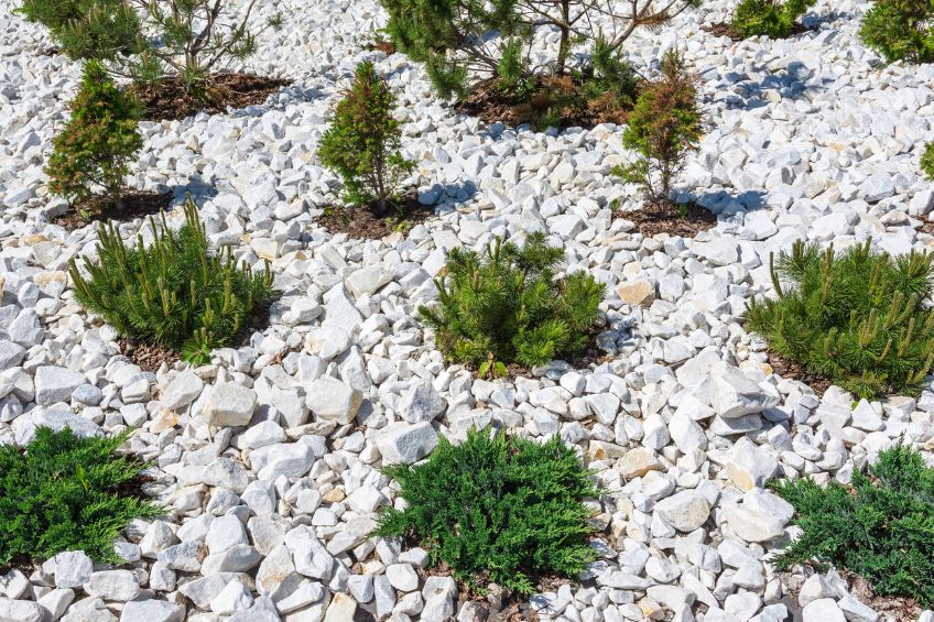 Stones of Sustainability Crafting a Water-Wise Xeriscape in Utah