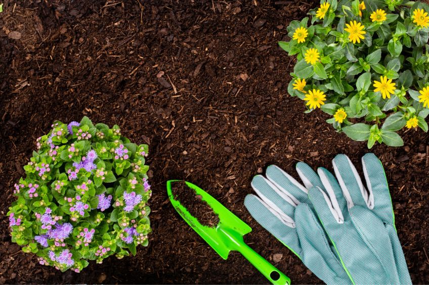 Get the Scoop Estimating Mulch for Your Garden Beds