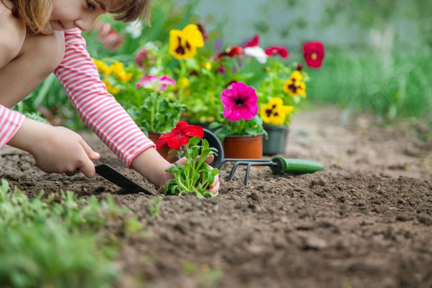 Kid-Friendly Gardening Activities with The Dirt Bags Products