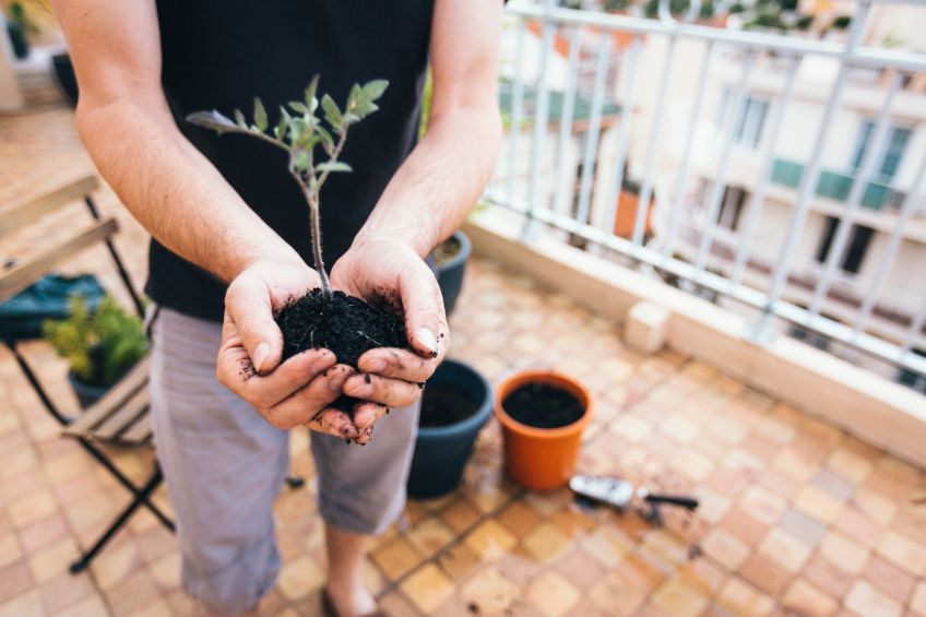 Small Spaces Big Impact Urban Gardening with The Dirt Bag