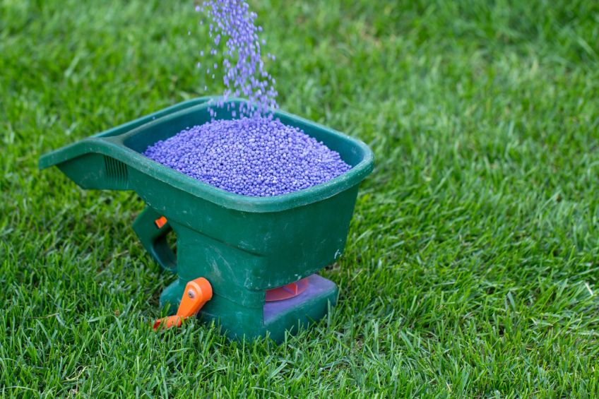 Autumn Abundance The Secrets to a Lush Utah Lawn