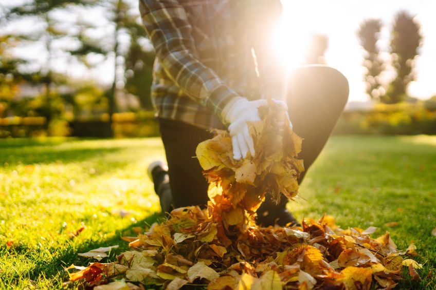 Get Your Yard Ready for Winter Fall Cleanup Chores and Landscaping Tips