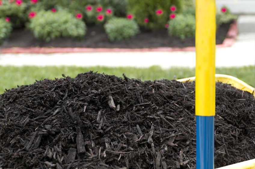 The Magic of Mulch October Garden Care with The Dirt Bag