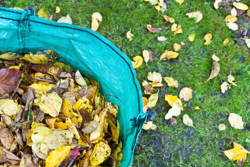 Make the Most of Fall Leaves in Your Compost