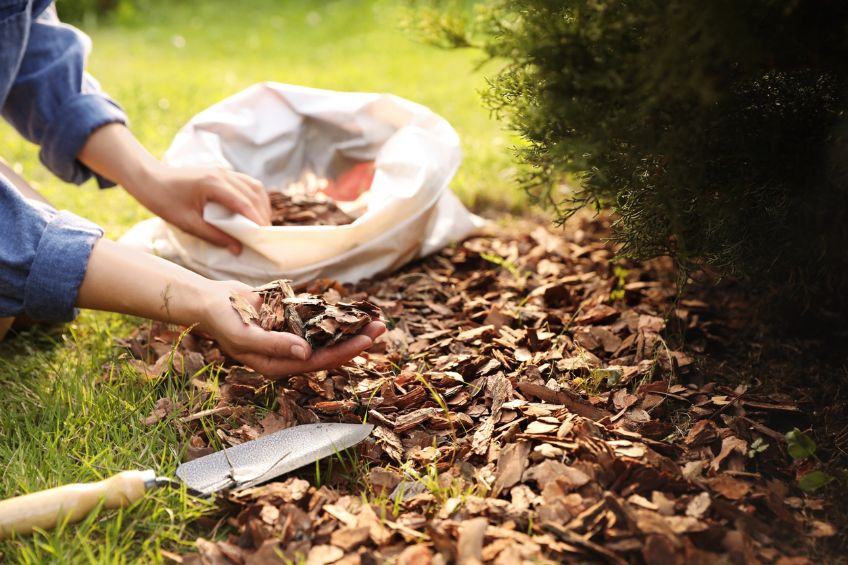 The Benefits of Mulching for Winter Protection