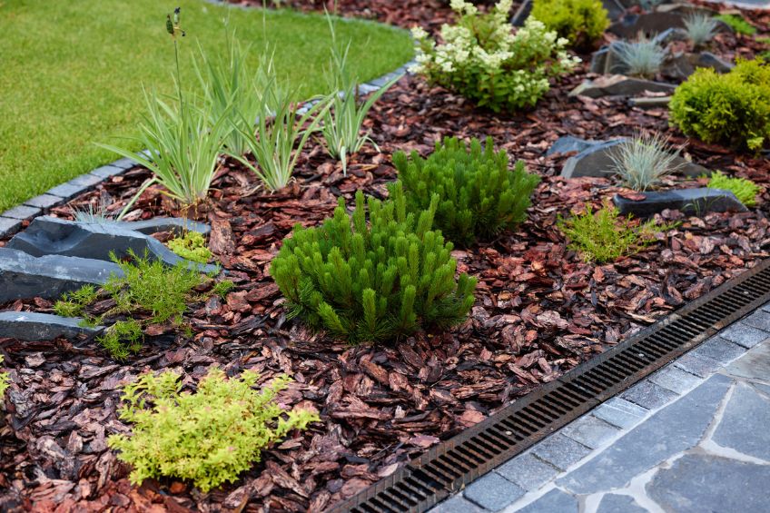 Mulch Like You Mean It How Late Summer Mulching Protects Your Fall Garden