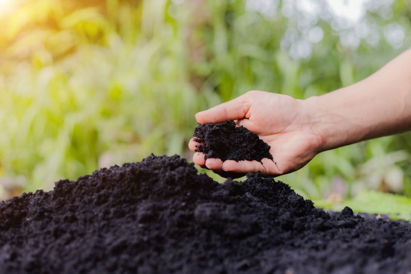 Compost Topdressing, Simplified: Utah’s Fall Shortcut to Healthier Lawns and Beds