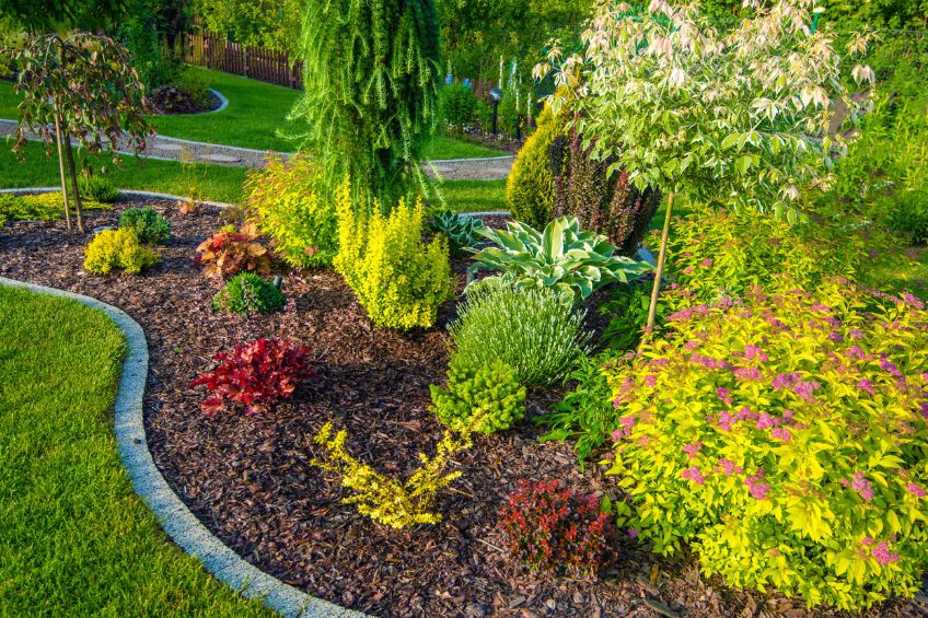 Don’t Let Weeds Win: How to Use Mulch as a Fall Weed Control Strategy