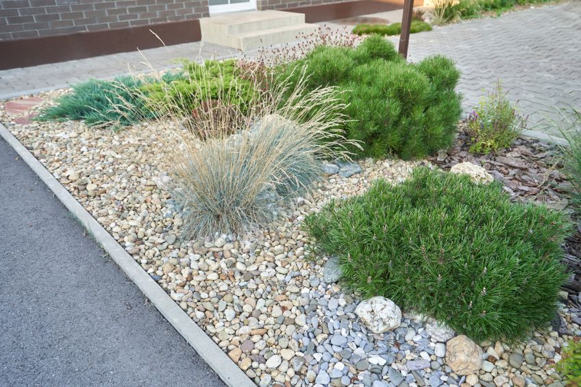 Gravel Groundcovers: The Low-Water Landscaping Upgrade Utah Yards Need This Fall