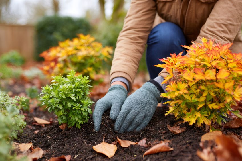 The Last Layer: Why Late-Fall Composting Sets Up Healthier Spring Gardens 1 The Last Layer Why Late-Fall Composting Sets Up Healthier Spring Gardens
